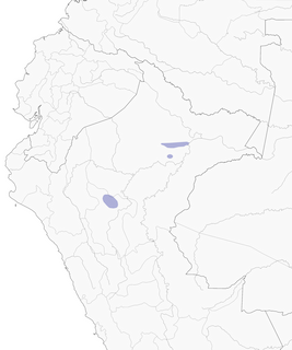 Distribution of the Mishana Tyrannulet - Range Map