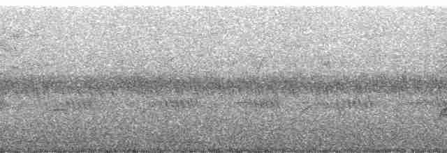 Красноклювая лазоревая сорока - ML769