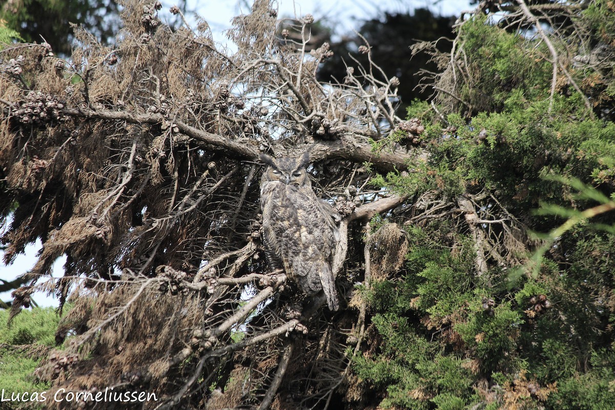 eBird Checklist - 16 Sep 2017 - Pt. Reyes--Fish Docks (DO NOT INCLUDE ...