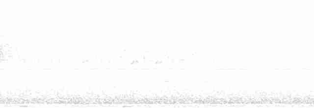 Чернобровая овсянка - ML77079
