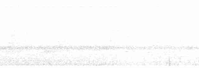 Пестрогорлый соловьиный дрозд - ML77099