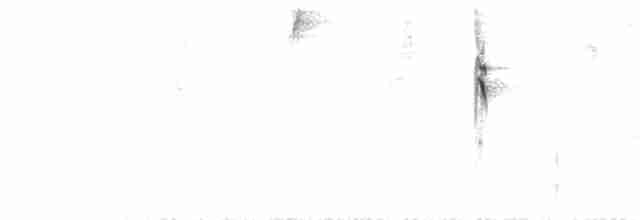 ハイズキンフウキンチョウ（chrysogaster） - ML77202801