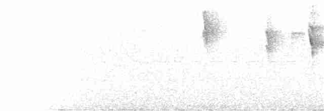 Percefleur glauque - ML77382341