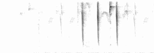 Ak Kaşlı Hemispingus (leucogastra/insignis) - ML77391861