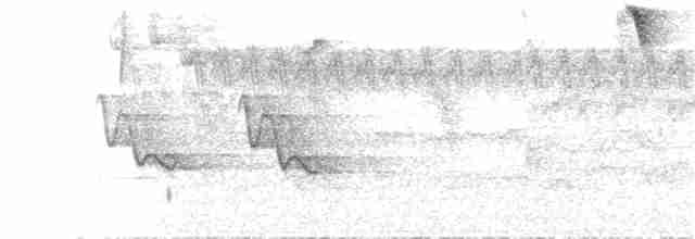 kullkronetanagar (auricularis) (svartkinntanagar) - ML77398141