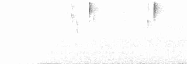 Зеленяр білобровий (підвид auricularis) - ML77398291