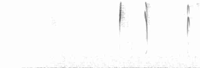 Schwarzkappen-Finkentangare (auricularis) - ML77398431