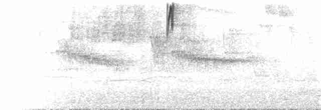 Огненнобрюхая танагра (igniventris) - ML77466191