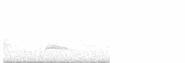 White-crested Elaenia - ML77497151