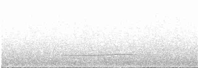 Little Tinamou - ML77580361