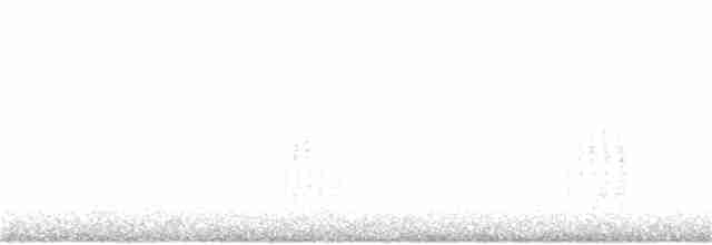 Turuncu Ardıç - ML77609281