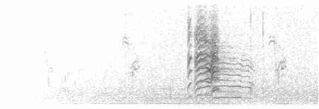 Толстоклювый пустынный вьюрок - ML77751471