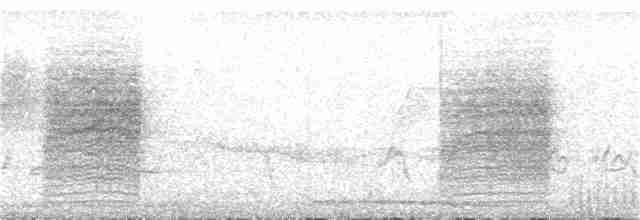 Blyth's Reed Warbler - ML77861181