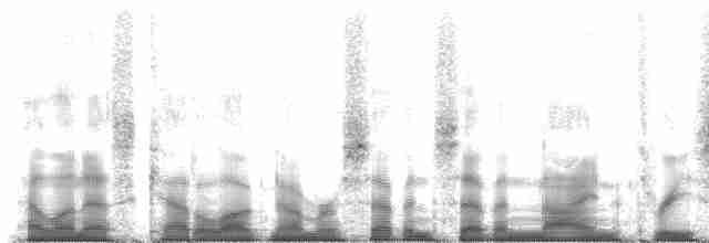 Starkschnabel-Maskentyrann (pitangua) - ML77937