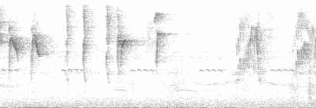 Коронник смугастоголовий (підвид tristriatus/baezae) - ML78028