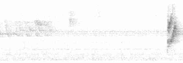 Коронник смугастоголовий (підвид tristriatus/baezae) - ML78050