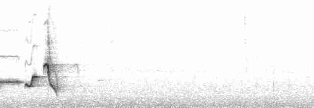 Белокрылый крапивник - ML78075