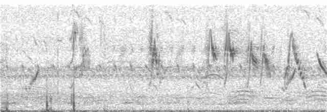 Singing Bushlark (Australasian) - ML78112321