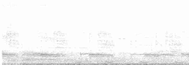 White-breasted Waterhen - ML78130831
