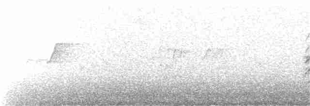 tårnfalk (tinnunculus gr.) - ML78234811