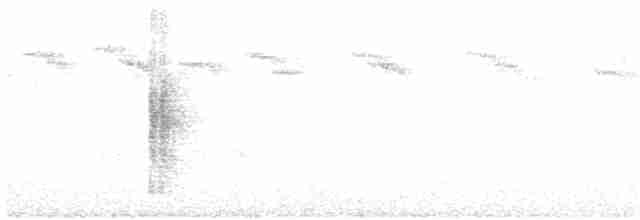 Трясохвіст темночеревий - ML78315021