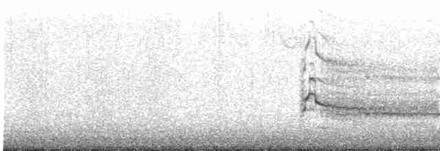 Краснохвостый канюк (abieticola) - ML78326651