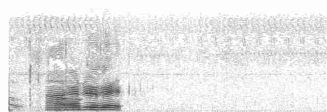 Great Eared-Nightjar - ML78540281