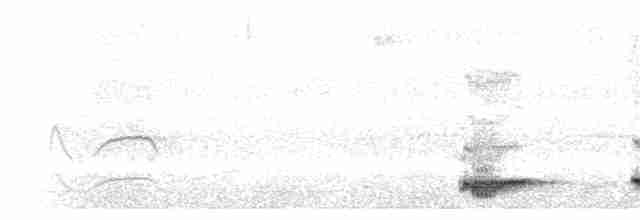 Small-billed Tinamou - ML78542651
