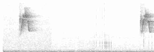 Greenish Warbler - ML78550111
