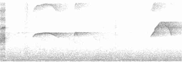 Шуліка-зубодзьоб білогрудий - ML78562601