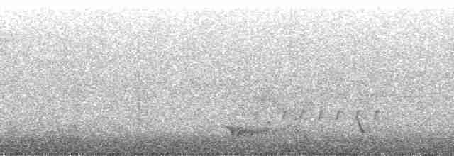 Helmeted Friarbird (Hornbill) - ML78569