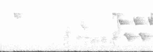 Домовый крапивник (grenadensis) - ML78671701