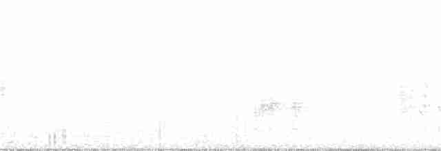 Домовый крапивник (grenadensis) - ML78671711