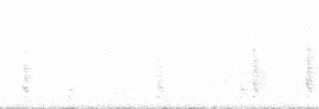 Weißbrust-Spottdrossel - ML78671961