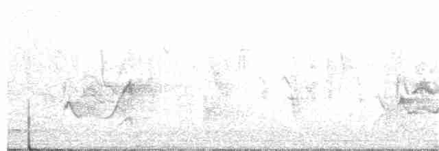 Бронзовая нектарница - ML78822961