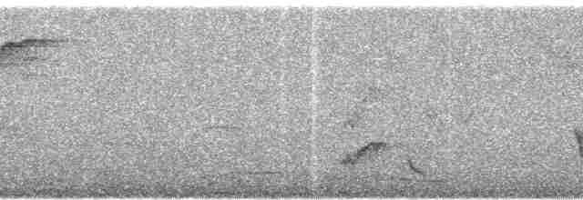 Чешуйчатогрудый пересмешник - ML78897