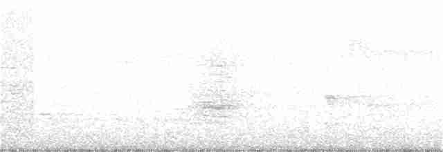 Black-hooded Antshrike - ML78910131
