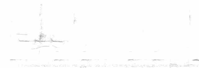 ロッキースズメフクロウ（gnoma） - ML78917491