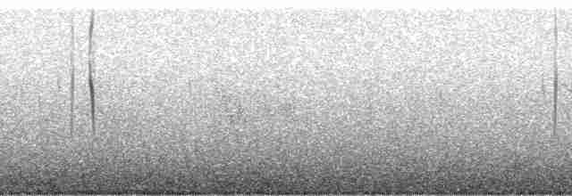 Kestane Kanatlı Sinklot - ML78939