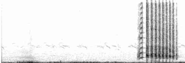 jeřáb kanadský (ssp. canadensis) - ML79089341