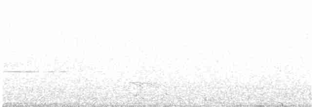 dřemlík tundrový (ssp. columbarius) - ML79094801