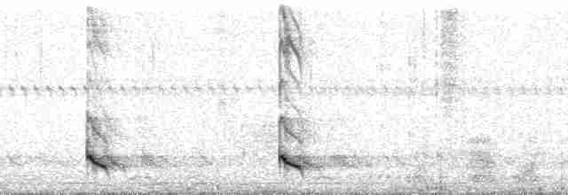 Красноголовая чубатка - ML79234