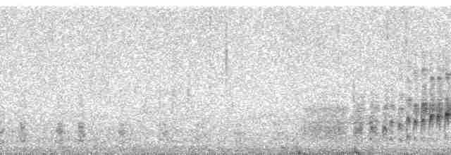Bandgrasmücke - ML79256