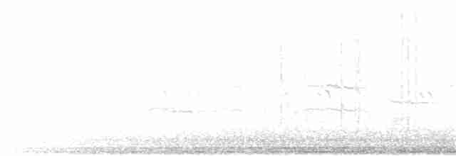 Gallinule à face noire - ML79299621