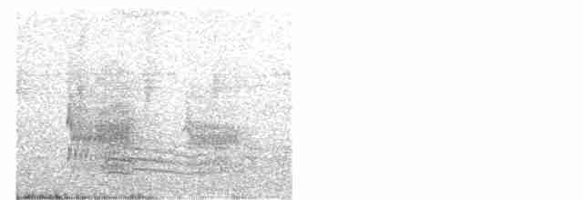 Kara Tepeli Karıncaavcısı - ML79325261