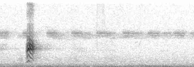 Spot-flanked Barbet - ML79362