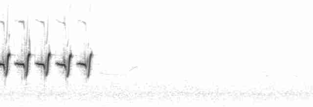 Kara Gözlü Junko (hyemalis/carolinensis) - ML79472