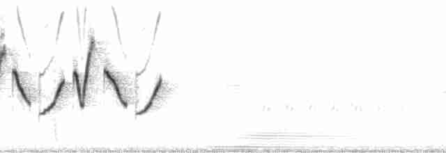 Common Yellowthroat - ML79476