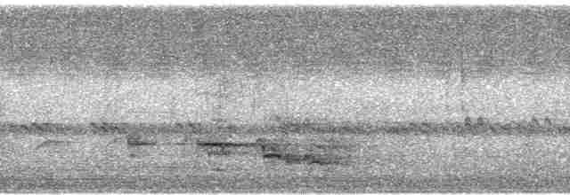 Суматранский трогон - ML79531