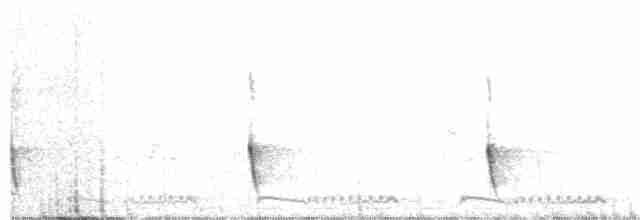 Gray Wren-Warbler - ML79544341